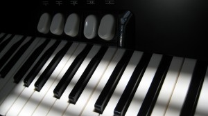 Photo of accordion in shadow